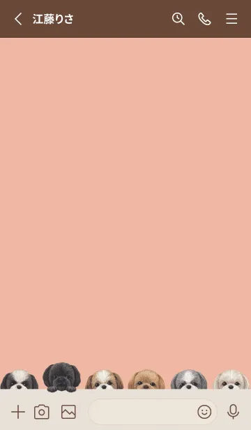 [LINE着せ替え] DOGS - シーズー - サーモンピンクの画像2