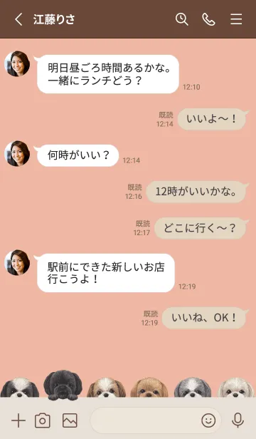 [LINE着せ替え] DOGS - シーズー - サーモンピンクの画像3