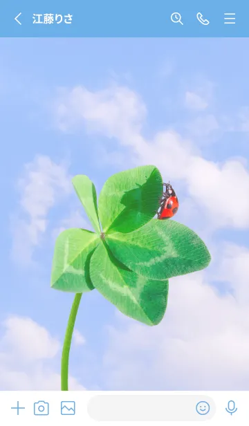 [LINE着せ替え] 本物ラッキークローバー+Ladybird #2-9の画像2