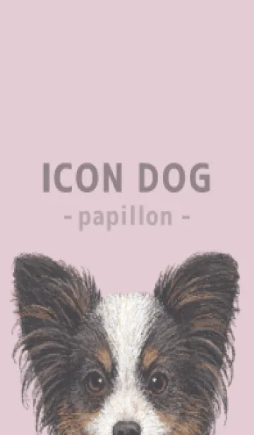 [LINE着せ替え] ICON DOG - パピヨン - PASTEL PK/03の画像1