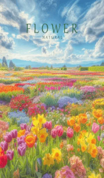 [LINE着せ替え] FLOWER GARDEN -Happy-18の画像1