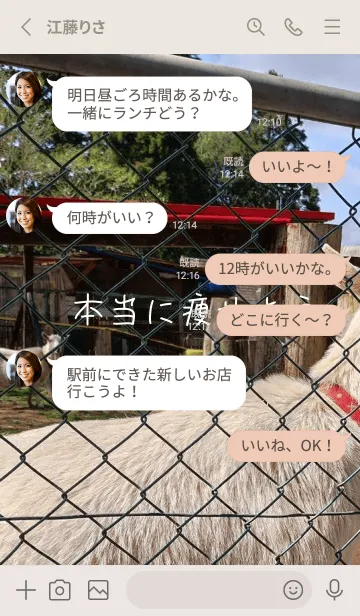 [LINE着せ替え] 本当に痩せようiEYの画像3