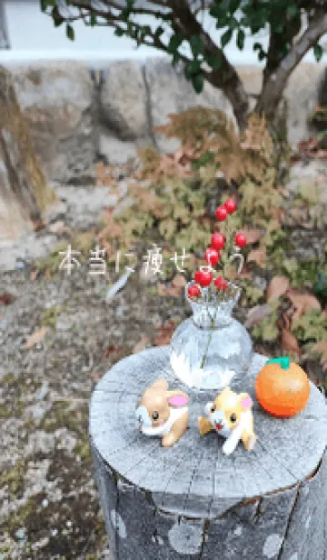 [LINE着せ替え] 本当に痩せようYKvの画像1