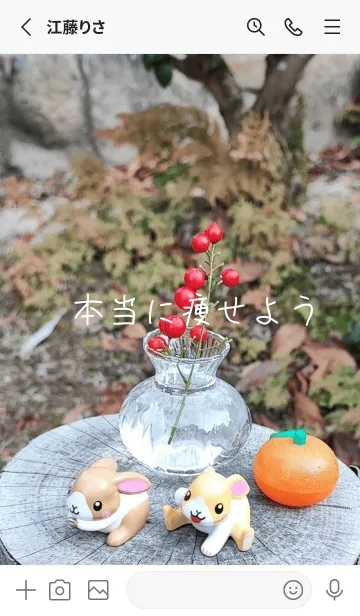 [LINE着せ替え] 本当に痩せようYKvの画像2