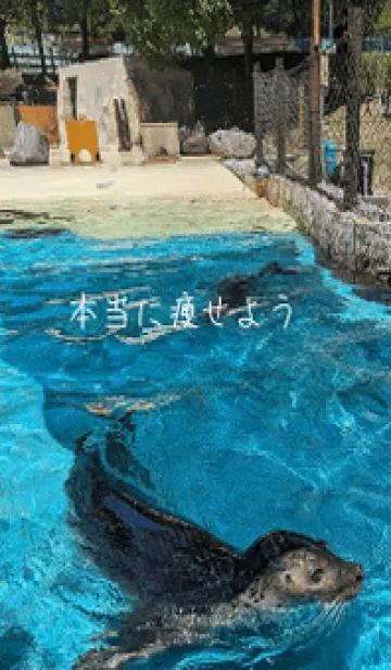 [LINE着せ替え] 本当に痩せようsEHの画像1