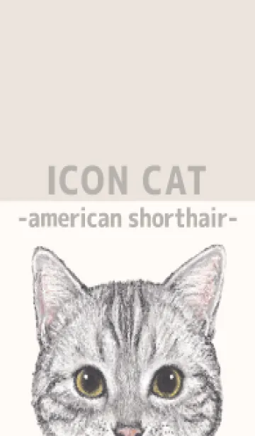 [LINE着せ替え] ICON CAT - アメショ - BEIGE/05の画像1