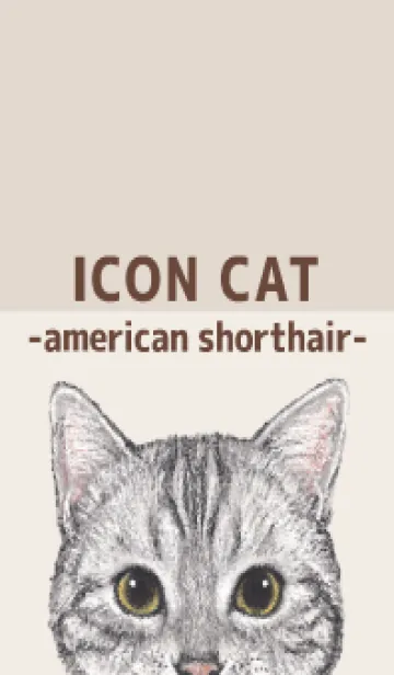 [LINE着せ替え] ICON CAT - アメショ - BROWN/05の画像1