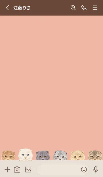 [LINE着せ替え] CATS - スコティッシュ - サーモンピンクの画像2