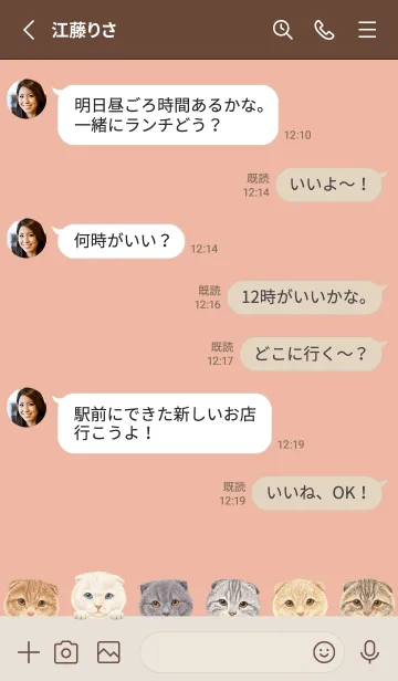 [LINE着せ替え] CATS - スコティッシュ - サーモンピンクの画像3