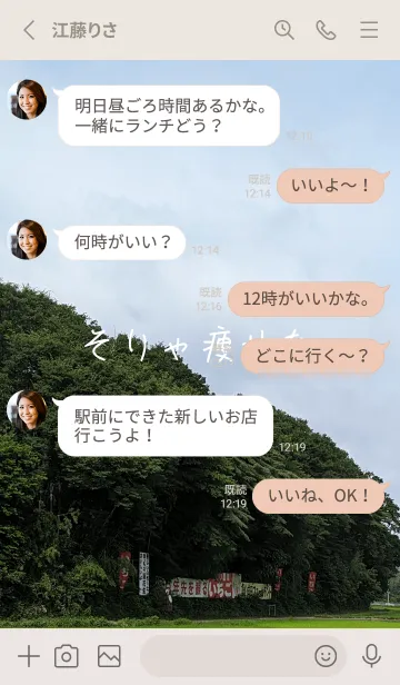 [LINE着せ替え] 本当に痩せようkfjの画像3