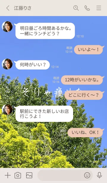 [LINE着せ替え] 本当に痩せようBQXの画像3