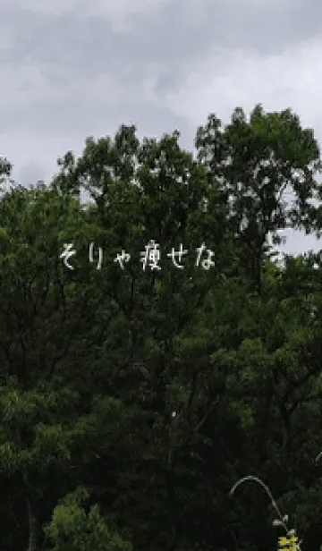 [LINE着せ替え] 本当に痩せようDcWの画像1