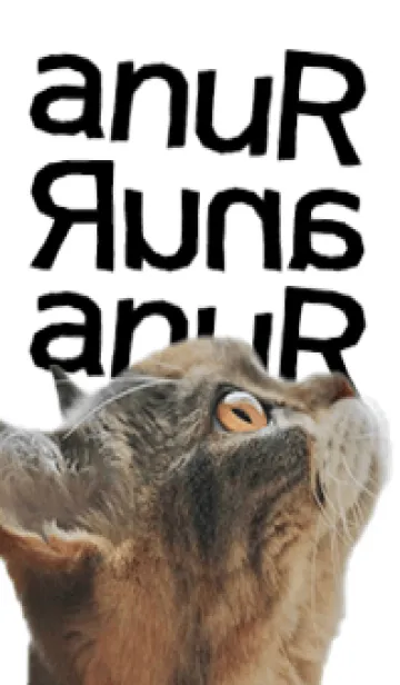 [LINE着せ替え] ねこのるうちゃん-シンプル白ベース-の画像1