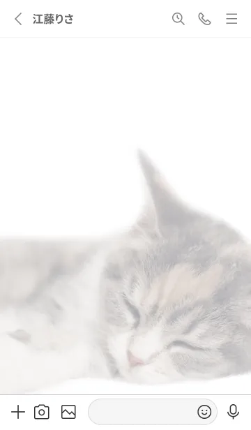 [LINE着せ替え] ねこのるうちゃん-シンプル白ベース-の画像2