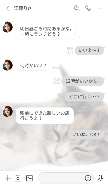 [LINE着せ替え] ねこのるうちゃん-シンプル白ベース-の画像3