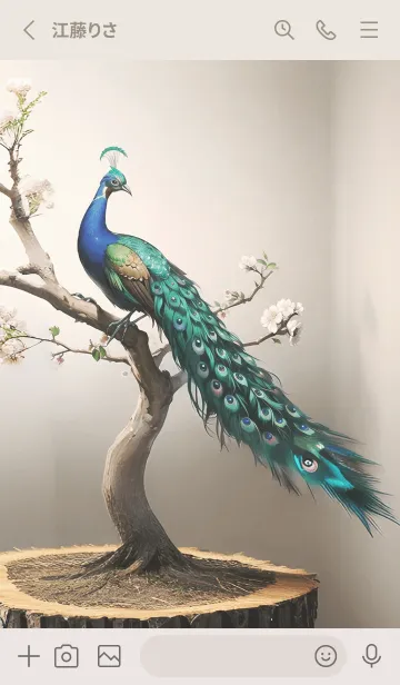 [LINE着せ替え] 美しい幸運の孔雀の画像2