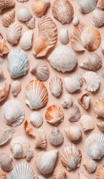 [LINE着せ替え] Ocean Treasures: Seashell Symphonyの画像1