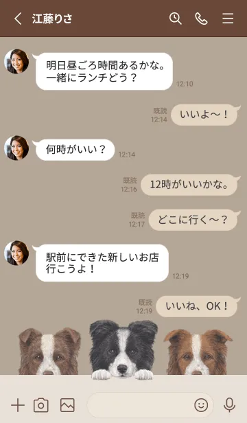 [LINE着せ替え] ワンワン！ - ボーダーコリー - カーキーの画像3