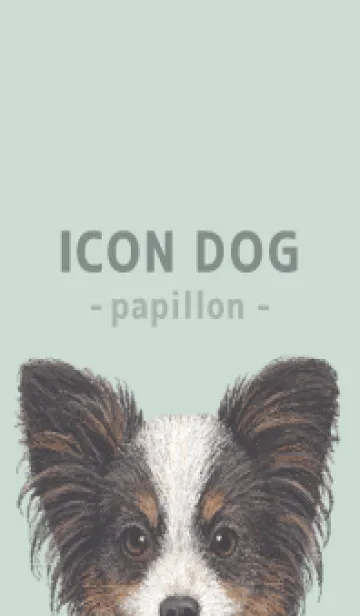 [LINE着せ替え] ICON DOG - パピヨン - PASTEL GR/03の画像1