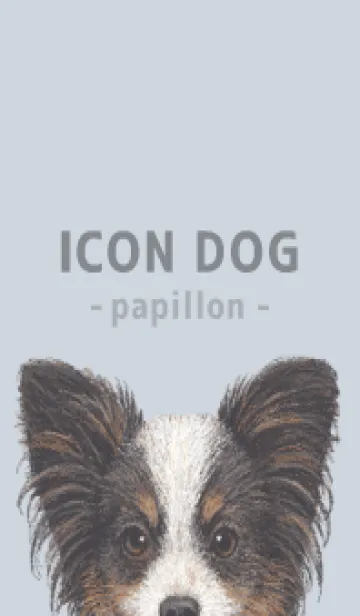 [LINE着せ替え] ICON DOG - パピヨン - PASTEL BL/03の画像1