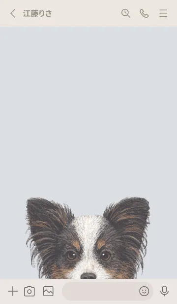 [LINE着せ替え] ICON DOG - パピヨン - PASTEL BL/03の画像2