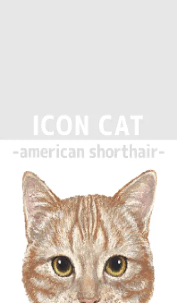 [LINE着せ替え] ICON CAT - アメショ - GRAY/06の画像1