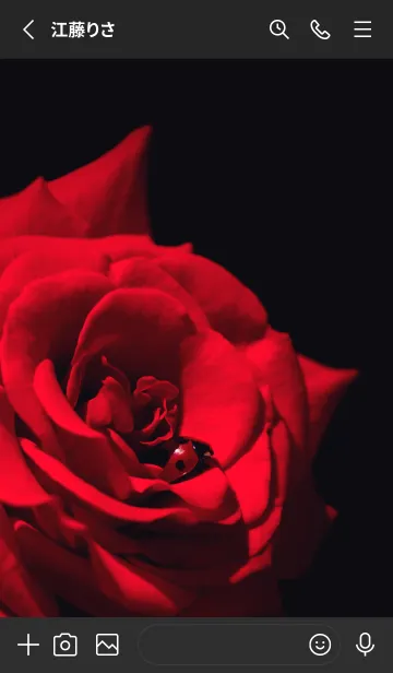 [LINE着せ替え] Ladybird Symbol of good luck #7-13の画像2