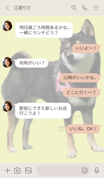 [LINE着せ替え] 柴犬ゆずちゃんの着せかえの画像3