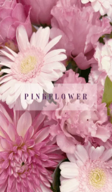 [LINE着せ替え] PINK FLOWER -NATURAL-23の画像1