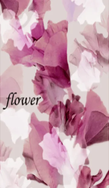 [LINE着せ替え] 透明感に溢れたスイートピー・16の画像1