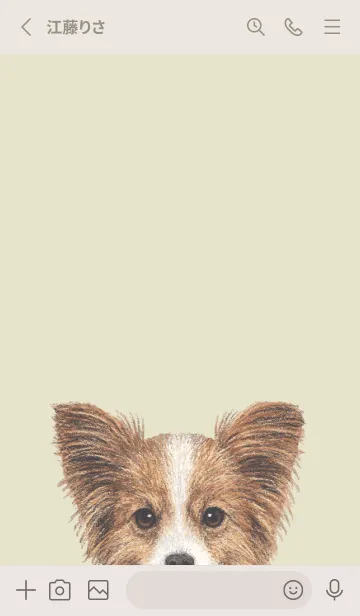 [LINE着せ替え] ICON DOG - パピヨン - PASTEL YE/02[rev.]の画像2