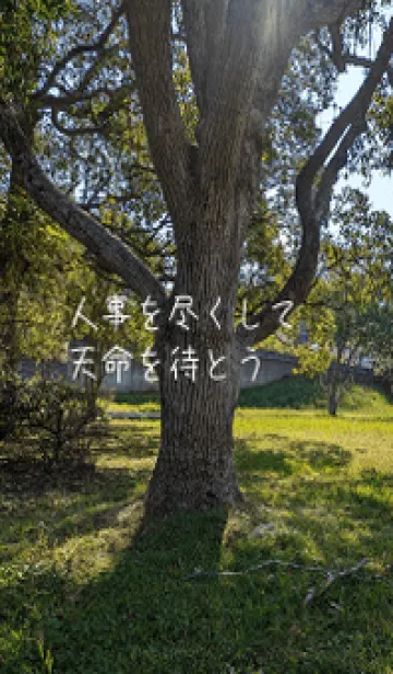 [LINE着せ替え] 本当に痩せようKV>の画像1