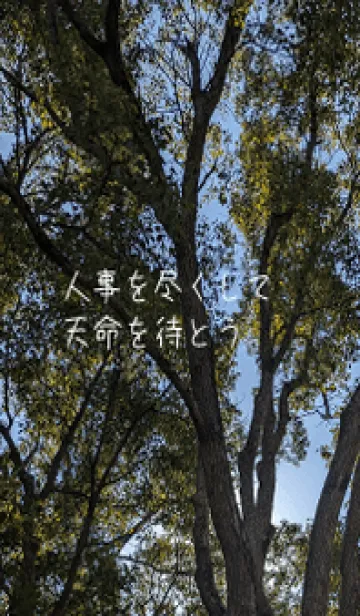 [LINE着せ替え] 本当に痩せよう#<yの画像1