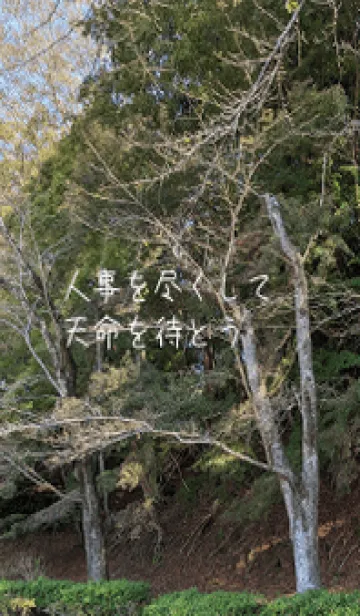 [LINE着せ替え] 本当に痩せようirwの画像1