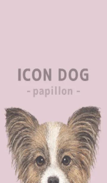 [LINE着せ替え] ICON DOG - パピヨン - PASTEL PK/04の画像1