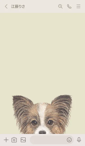 [LINE着せ替え] ICON DOG - パピヨン - PASTEL YE/04の画像2