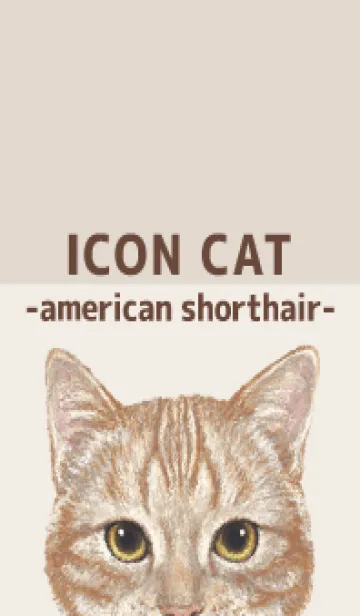 [LINE着せ替え] ICON CAT - アメショ - BROWN/06の画像1