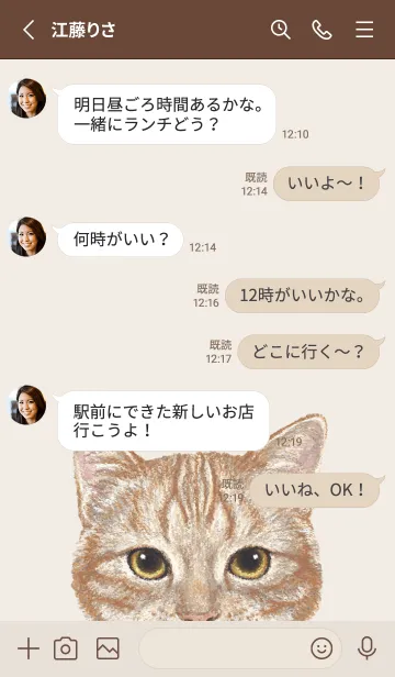 [LINE着せ替え] ICON CAT - アメショ - BROWN/06の画像3