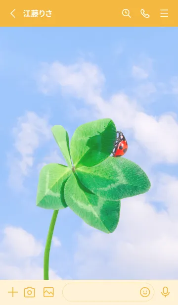 [LINE着せ替え] 本物ラッキークローバー+Ladybird #2-11の画像2