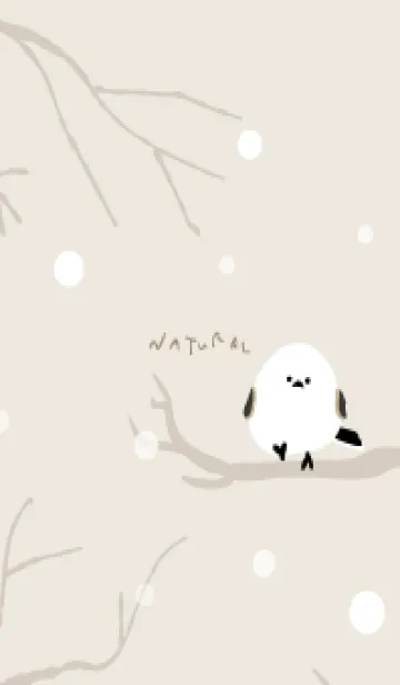 [LINE着せ替え] シマエナガ 雪15の画像1