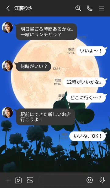 [LINE着せ替え] 七つ葉のクローバー & Full Moon #3-24の画像3