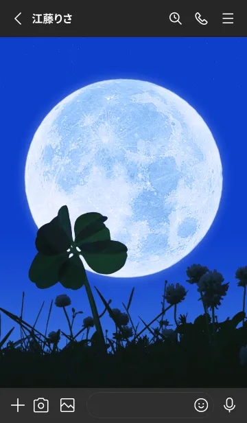 [LINE着せ替え] 7-Leaf Clover & Full Moon #2-24の画像2