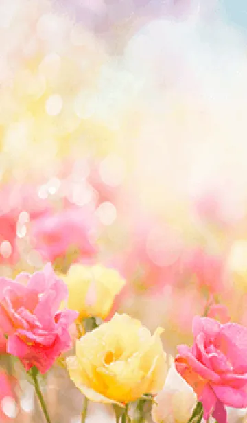 [LINE着せ替え] 薔薇(バラ)の花の着せかえ(R220)の画像1