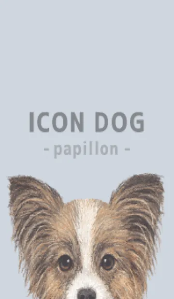 [LINE着せ替え] ICON DOG - パピヨン - PASTEL BL/04の画像1