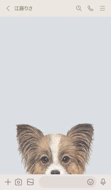 [LINE着せ替え] ICON DOG - パピヨン - PASTEL BL/04の画像2