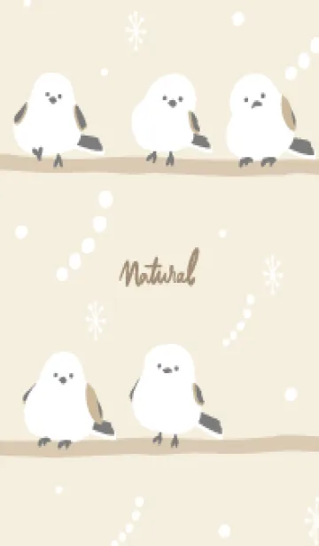 [LINE着せ替え] シマエナガ 冬7の画像1