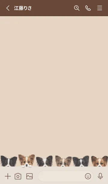 [LINE着せ替え] DOGS - パピヨン - ベージュグレーの画像2