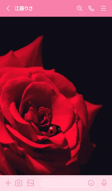 [LINE着せ替え] Ladybird Symbol of good luck #7-14の画像2