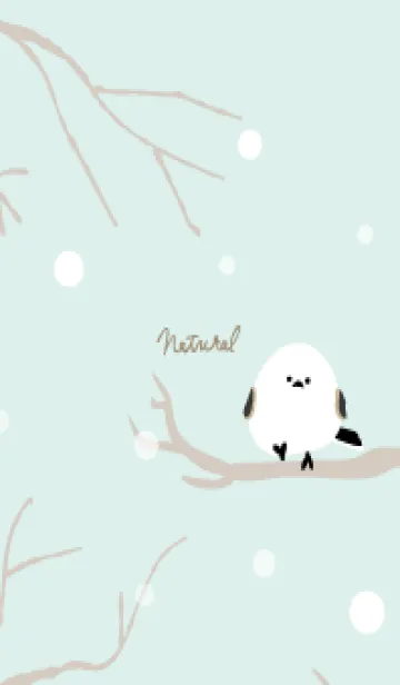 [LINE着せ替え] シマエナガ 雪17の画像1