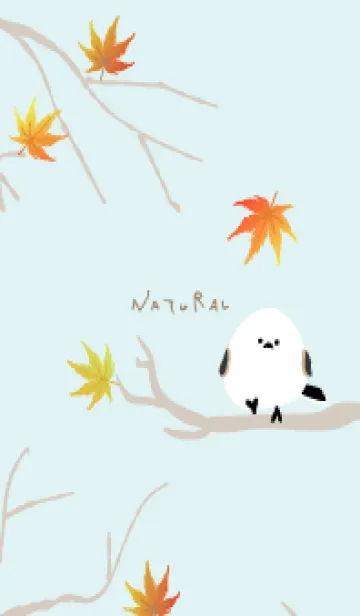 [LINE着せ替え] シマエナガ もみじ4の画像1